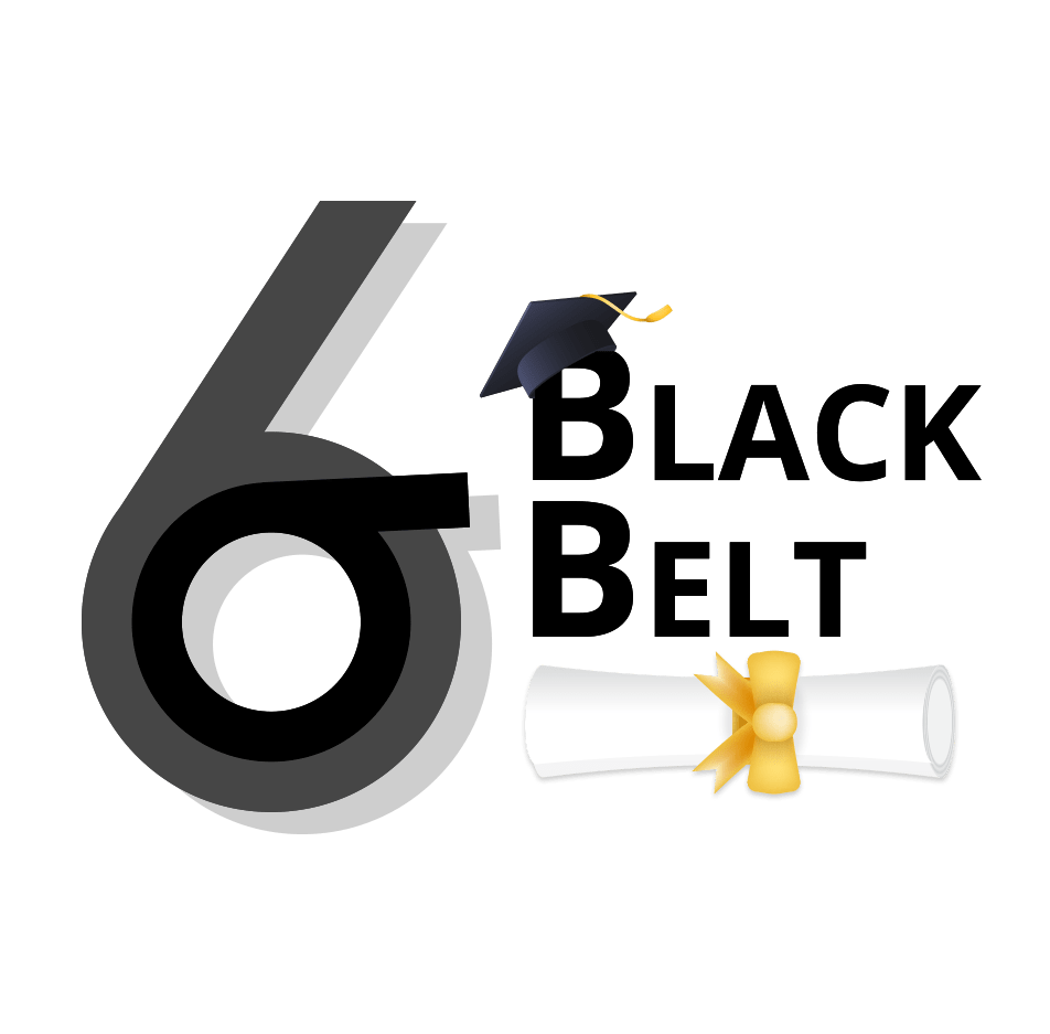 Black Belt training
